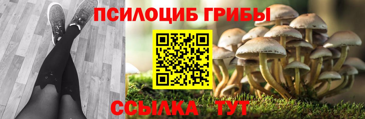 Галлюциногенные грибы мицелий Серпухов